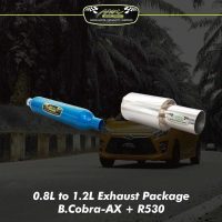 Moderate Bass Sound Package (0.8L to 1.2L) NA Engine