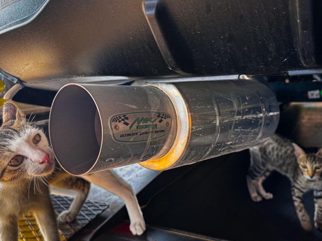 Dirty Rusted Corrode Exhaust Muffler with Cat